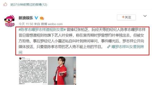 吃瓜娱乐视频小站点,带你领略网络娱乐新风向